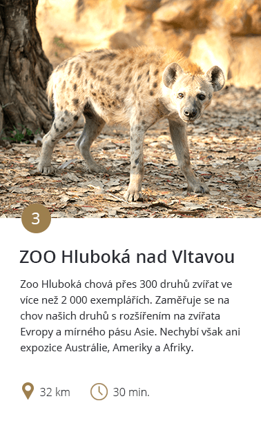 ZOO Hluboká nad Vltavou
